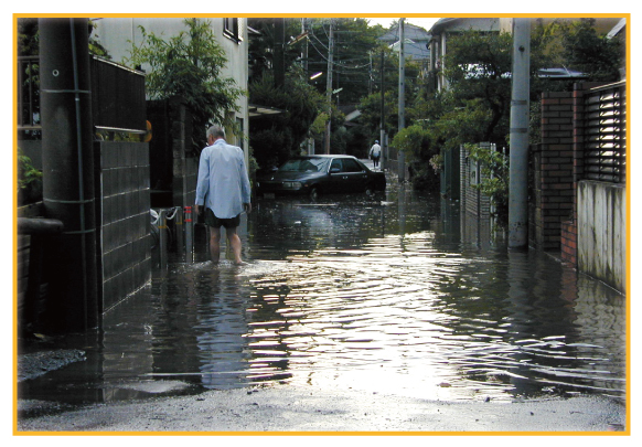 住宅街での大雨による関冠水の様子