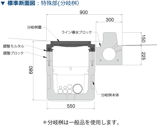 D.D.BOX Pleon製品構成