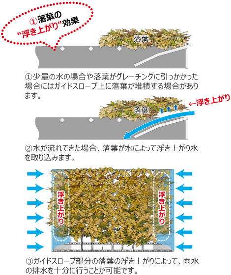 落ち葉の浮き上がり効果