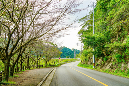 山間部の道路