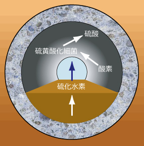 抗菌マンホール